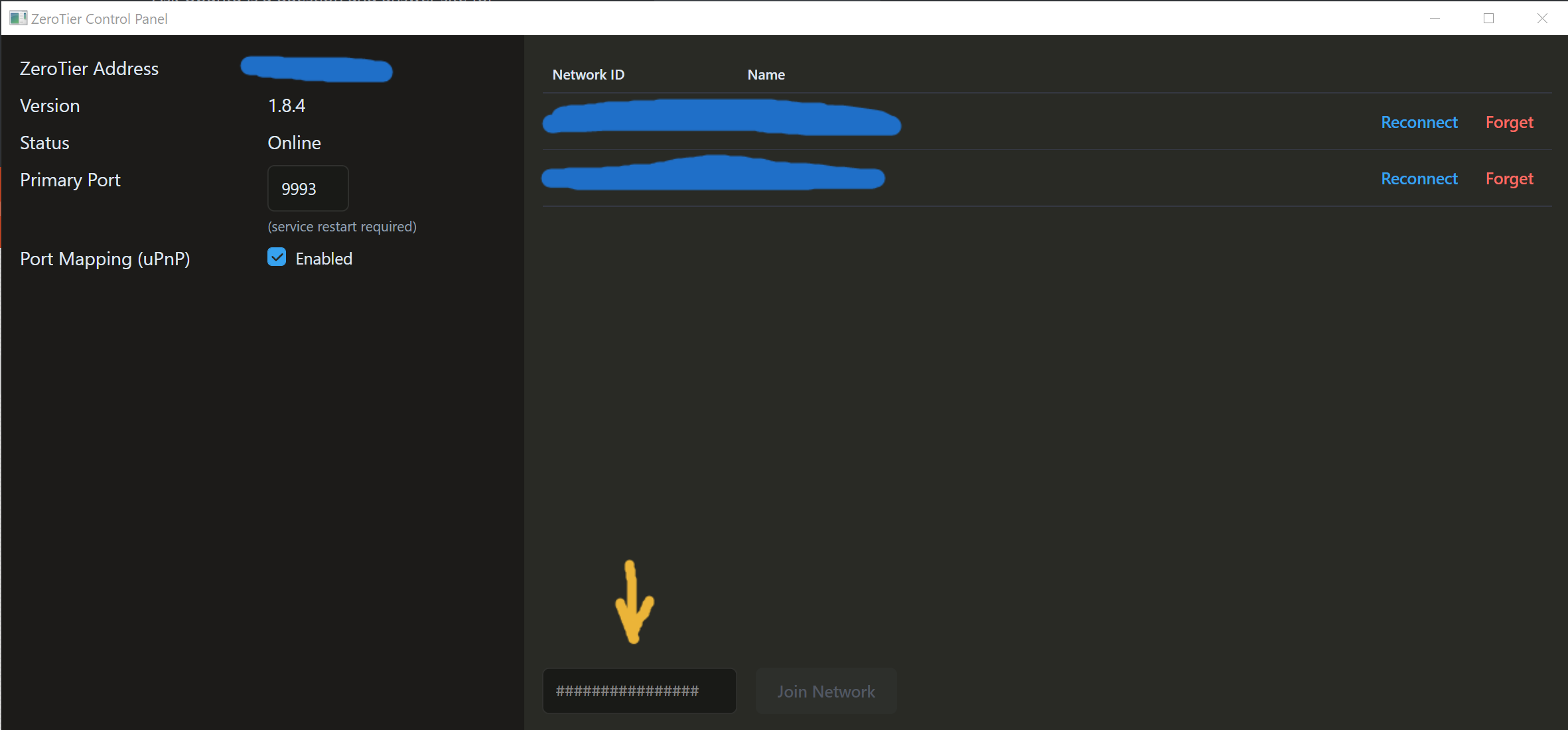 ZeroTier Control Panel